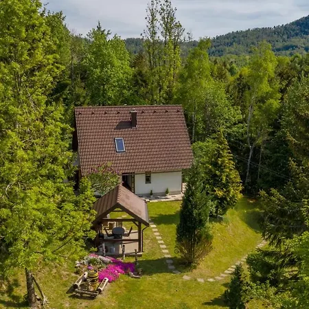 Holiday home House With A Parking Space Lokve, Gorski Kotar - 18226