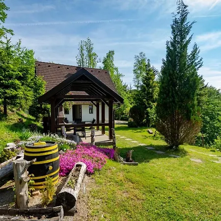 House With A Parking Space Lokve, Gorski Kotar - 18226 別荘
