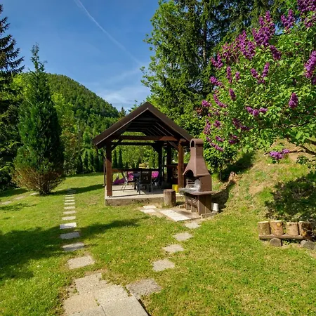 House With A Parking Space Lokve, Gorski Kotar - 18226 * デルニツェ