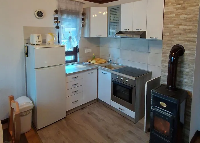 度假居 House With A Parking Space Lokve, Gorski Kotar - 18226 代尔尼采